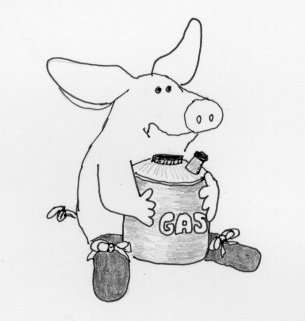 pig hugging gas can